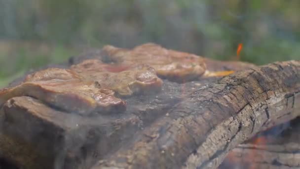 Pieczenia mięsa na kamieniu ognia — Wideo stockowe