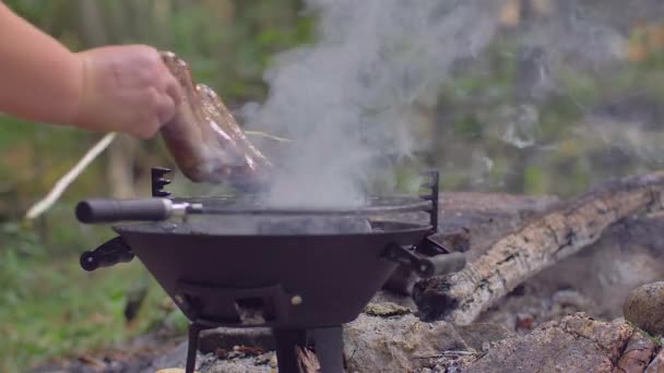 Смажені ковбаски в природі кулінарні — стокове відео
