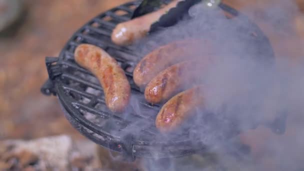 Salchichas a la parrilla en la naturaleza vista superior — Vídeo de stock