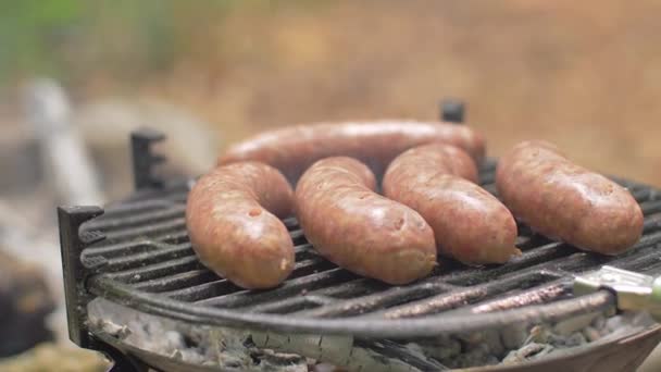 Salsichas grelhadas na natureza culinária — Vídeo de Stock