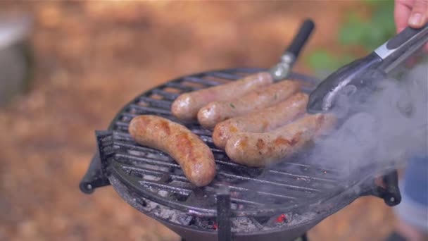 Grilled sausages in nature top view — Stock Video