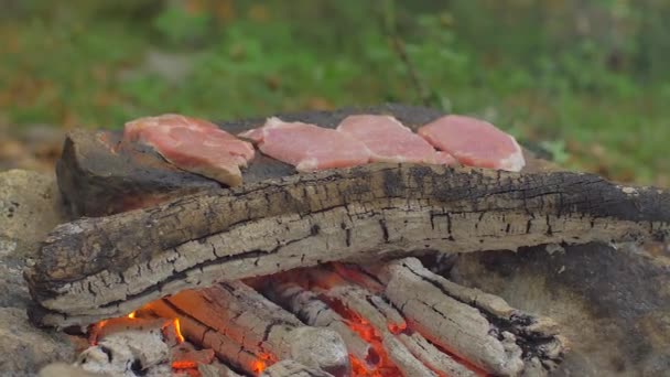 Asar carne sobre una piedra de fuego — Vídeos de Stock