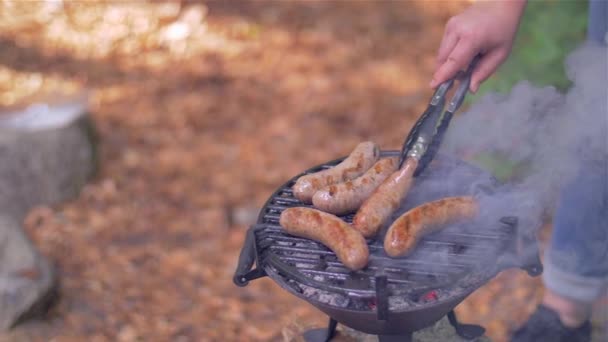 Grilled sausages in nature top view — Stock Video