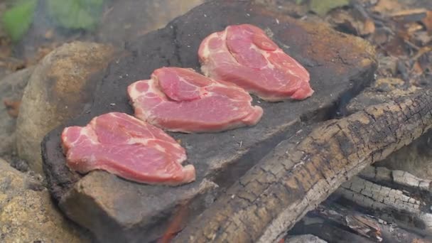 Fleisch auf einem Stein des Feuers braten — Stockvideo