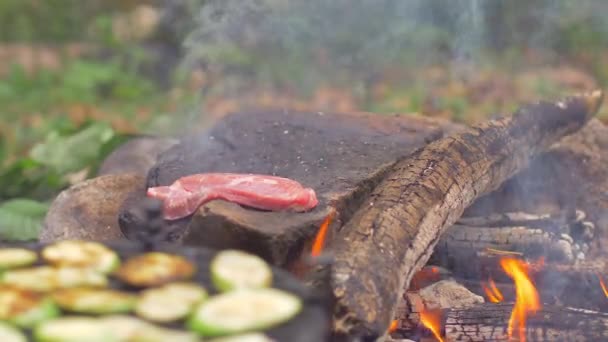 Roasting meat on a stone of fire — Stock Video
