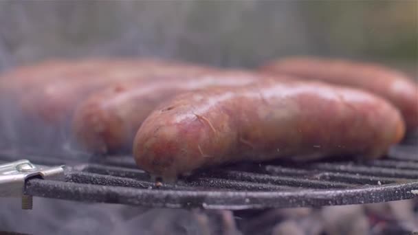 Salsichas grelhadas na natureza culinária — Vídeo de Stock