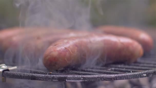 Salsichas grelhadas na natureza culinária — Vídeo de Stock