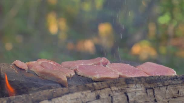 Fleisch auf einem Stein des Feuers braten — Stockvideo