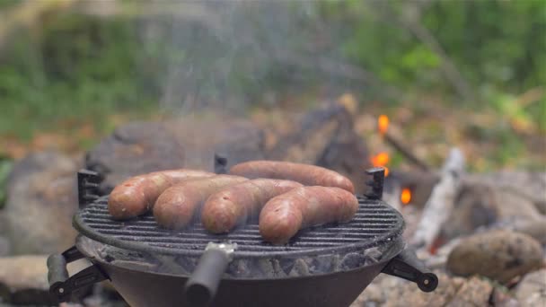 Grillad korv i naturen kulinariska — Stockvideo