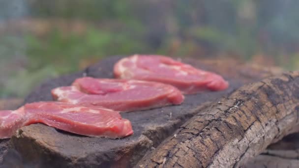 Asar carne sobre una piedra de fuego — Vídeo de stock