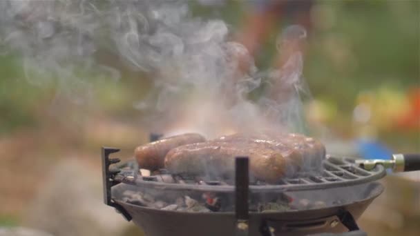 Grillede pølser i naturen – stockvideo