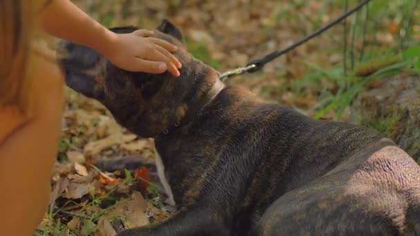 Дві дівчини грають з собакою в природі — стокове відео