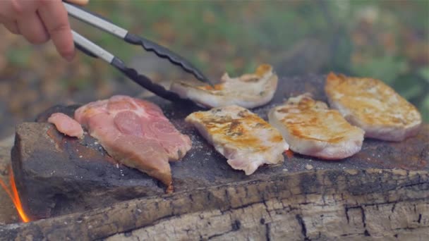 Assar a carne em uma pedra de fogo — Vídeo de Stock