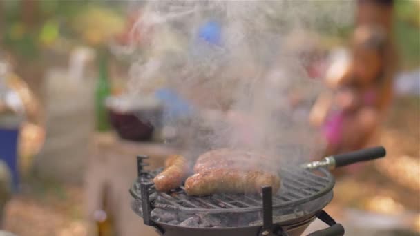Grillowane kiełbasy w przyrodzie kulinarne — Wideo stockowe