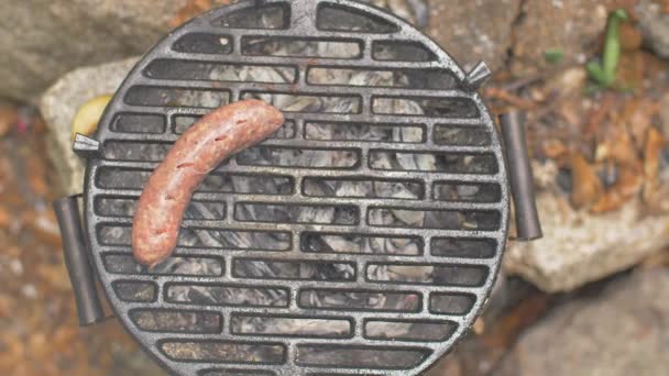 Grilled sausages in nature top view — Stock Video