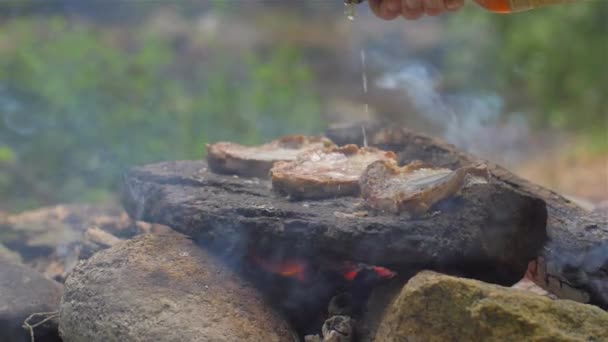 Assar a carne em uma pedra de fogo — Vídeo de Stock
