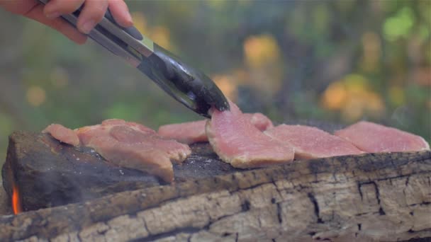 Assar a carne em uma pedra de fogo — Vídeo de Stock