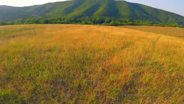 Chasseur avec un fusil de chasse aux oiseaux — Video