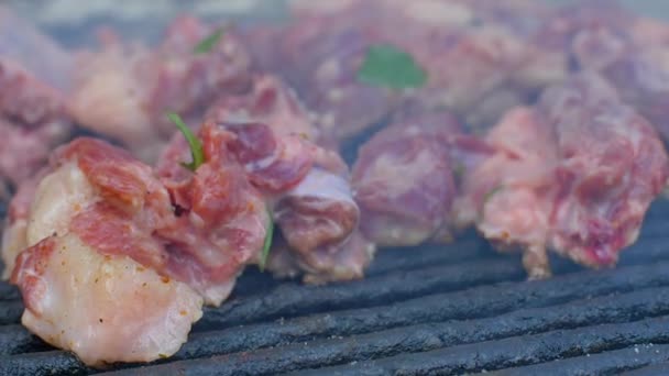 Meat on the grill in nature slow motion food — Stock Video