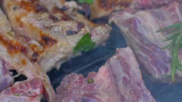 Vlees op de grill in de natuur Slow Motion Food — Stockvideo