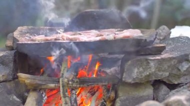 doğada yavaş hareket gıda ızgara üzerinde et