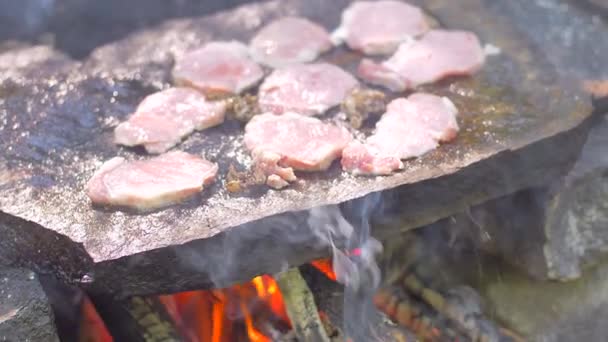 М'ясо на грилі в природі повільний рух їжі — стокове відео