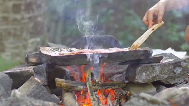 Hús a grill a természetben lassú étel — Stock videók