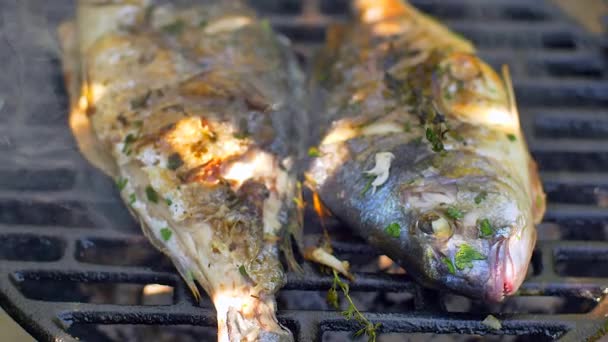 Dorada dorada dorada dorada a la parrilla naturaleza — Vídeos de Stock