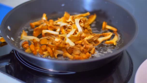 Cogumelos em frigideira closeup. Chanterelles — Vídeo de Stock