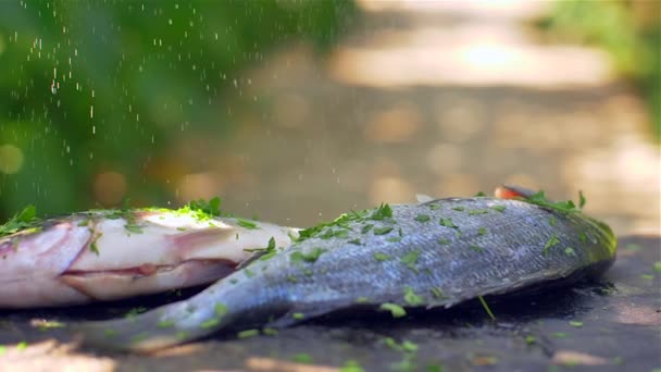 Dorada dorada dorada dorada a la parrilla naturaleza — Vídeos de Stock