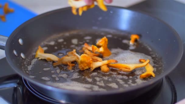 蘑菇在煎锅特写。钱特雷尔斯 — 图库视频影像