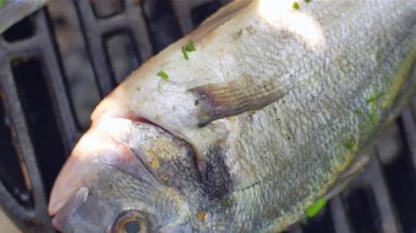  Yaldız kafaçip dorade ızgara doğa