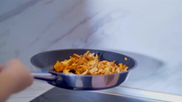 Setas en la sartén primer plano. Chanterelles — Vídeos de Stock