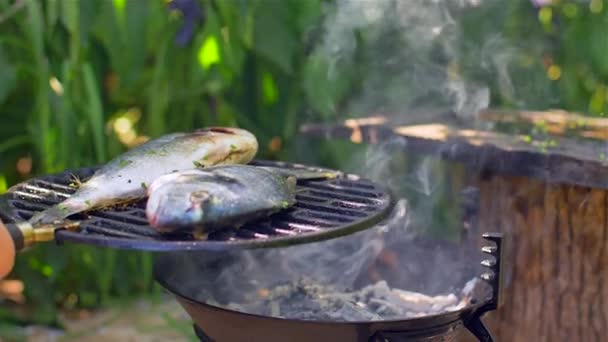 Gilt-head bream dorade grilled nature — Stock Video