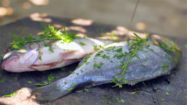 Gilt-cabeça bream dorade grelhado natureza — Vídeo de Stock