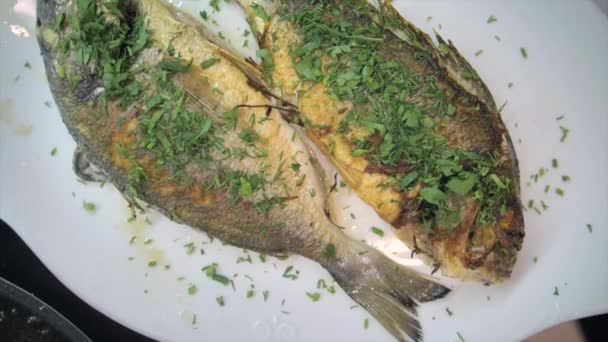 調理準備ができてグリルパンに新鮮な鯛のプレゼンテーション — ストック動画