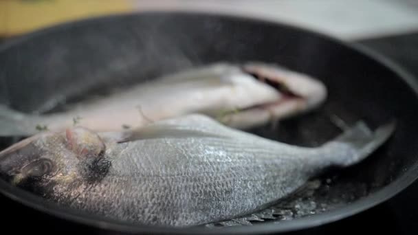 Presentatie van verse zeebrasem op grillpan klaar om te koken — Stockvideo