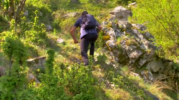 Jovem caucasiano indo oh uma aventura de caminhada. masculino modelo trekking no montanha caminhos, representando ativo modo de vida e liberdade 4k filmagem — Vídeo de Stock