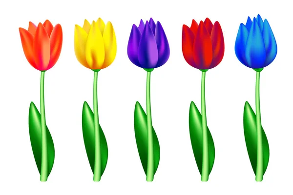 Gerçekçi Çiçek Lale.