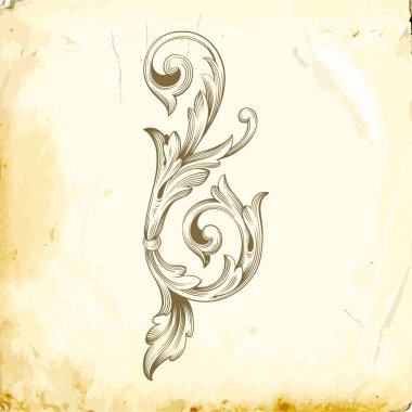 Tasarım için vintage elementlerin vektör barok 'u. 