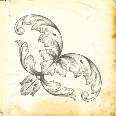 Tasarım için vintage elementlerin vektör barok 'u. 