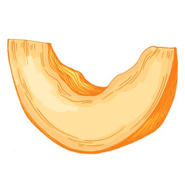 Kavun meyvesi illüstrasyonu, olgun kavun vektörü, bütün ve dilimlenmiş tropikal kavun taze organik sağlıklı yiyecekler, yaz tatlısı, vejetaryen diyeti, el yapımı klitoris tasarımı..