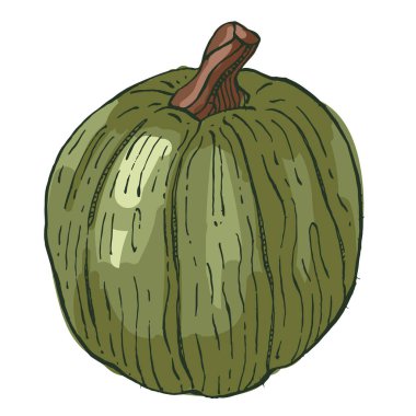 Beyaz arkaplanda kabaklar izole edilmiş.