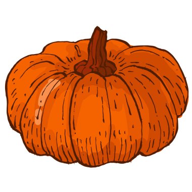 Beyaz arkaplanda kabaklar izole edilmiş.