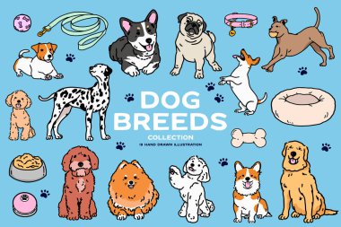 Dog Breeds Hand Çizim Çizimi