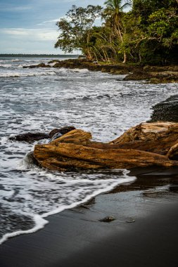Deniz dalgaları ve kayalarla dolu güzel bir sahil