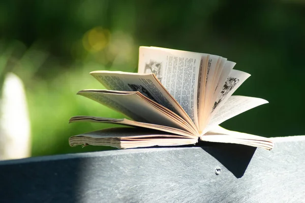 Açık bir kitap kırmızı örgü eldivenli ahşap bir bankta dinleniyor, okumayı, kültürü, rahatlamayı ve samimi anları sembolize ediyor. Edebiyat, eğitim, eğitim, boş zaman, sonbahar ve farkındalık kavramları için mükemmel bir imaj..