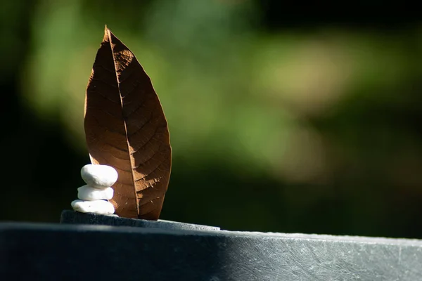 Antioquia, Kolombiya 'da kuru yapraklı beyaz taşlar yığılmış. Denge ve doğa hakkındaki editörlük kavramı.