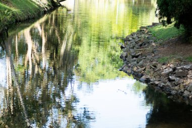 Doğanın güzel manzarası