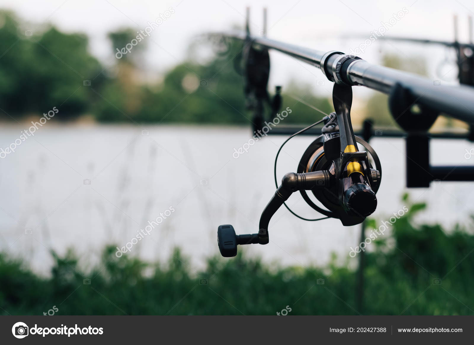 SCARICARE CARPFISHING GRATIS